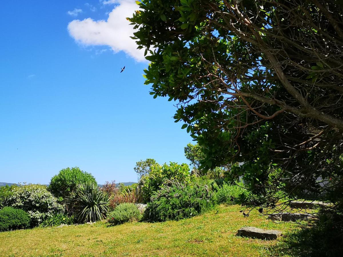 Appartements Avec Jardin Entre Porto-Vecchio Et Figari - Casa Mattiste Sotta Luaran gambar